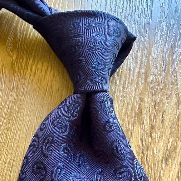 CAMERUCCI Blue Paisley Silk Tie - Picture 2 of 6
